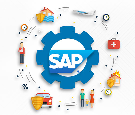 why choose sap - The Many Types of SAP Consultant